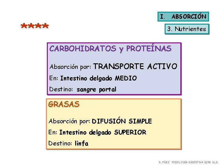 I. ABSORCIÓN **** 3. Nutrientes CARBOHIDRATOS y PROTEÍNAS Absorción por: TRANSPORTE ACTIVO En: Intestino