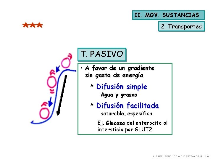 II. MOV. SUSTANCIAS *** 2. Transportes T. PASIVO • A favor de un gradiente