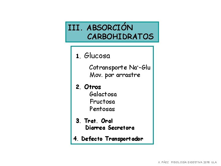 III. ABSORCIÓN CARBOHIDRATOS 1. Glucosa Cotransporte Na+-Glu Mov. por arrastre 2. Otros Galactosa Fructosa III. ABSORCIÓN CARBOHIDRATOS 1. Glucosa Cotransporte Na+-Glu Mov. por arrastre 2. Otros Galactosa Fructosa