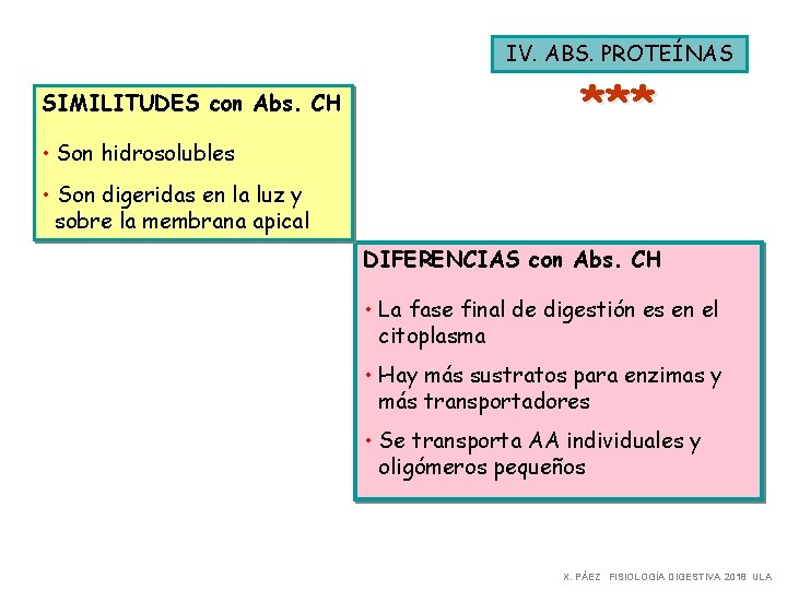 IV. ABS. PROTEÍNAS SIMILITUDES con Abs. CH • Son hidrosolubles *** • Son digeridas IV. ABS. PROTEÍNAS SIMILITUDES con Abs. CH • Son hidrosolubles *** • Son digeridas