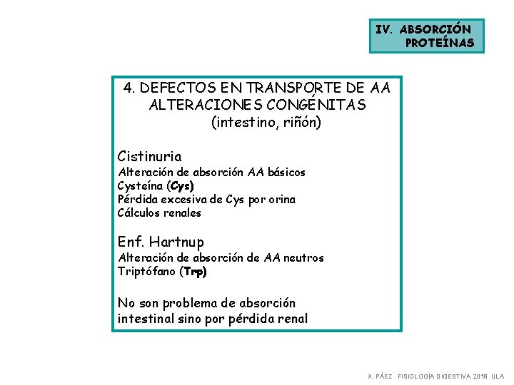 IV. ABSORCIÓN PROTEÍNAS 4. DEFECTOS EN TRANSPORTE DE AA ALTERACIONES CONGÉNITAS (intestino, riñón) Cistinuria