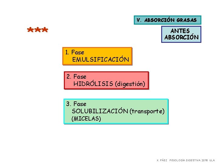 V. ABSORCIÓN GRASAS *** ANTES ABSORCIÓN 1. Fase EMULSIFICACIÓN 2. Fase HIDRÓLISIS (digestión) 3. V. ABSORCIÓN GRASAS *** ANTES ABSORCIÓN 1. Fase EMULSIFICACIÓN 2. Fase HIDRÓLISIS (digestión) 3.