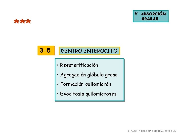 V. ABSORCIÓN GRASAS *** 3 -5 DENTRO ENTEROCITO • Reesterificación • Agregación glóbulo grasa V. ABSORCIÓN GRASAS *** 3 -5 DENTRO ENTEROCITO • Reesterificación • Agregación glóbulo grasa