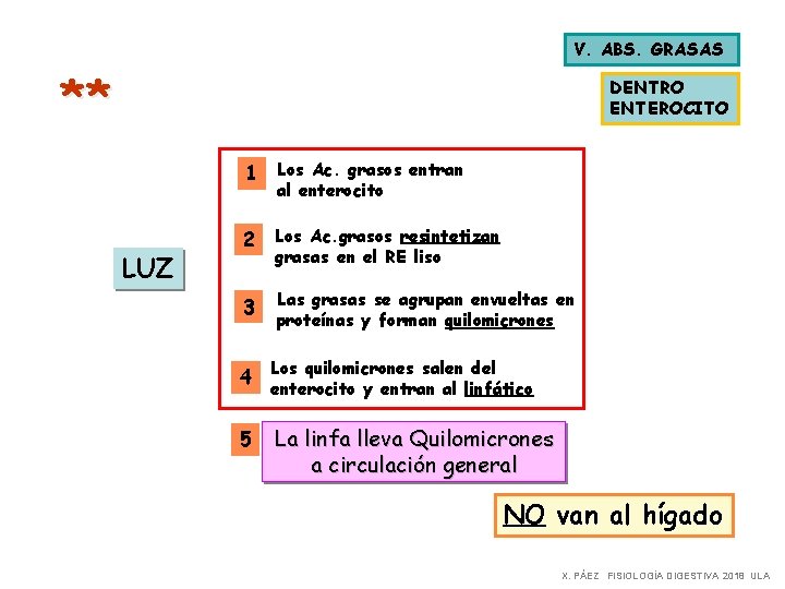V. ABS. GRASAS ** DENTRO ENTEROCITO 1 Los Ac. grasos entran al enterocito LUZ V. ABS. GRASAS ** DENTRO ENTEROCITO 1 Los Ac. grasos entran al enterocito LUZ