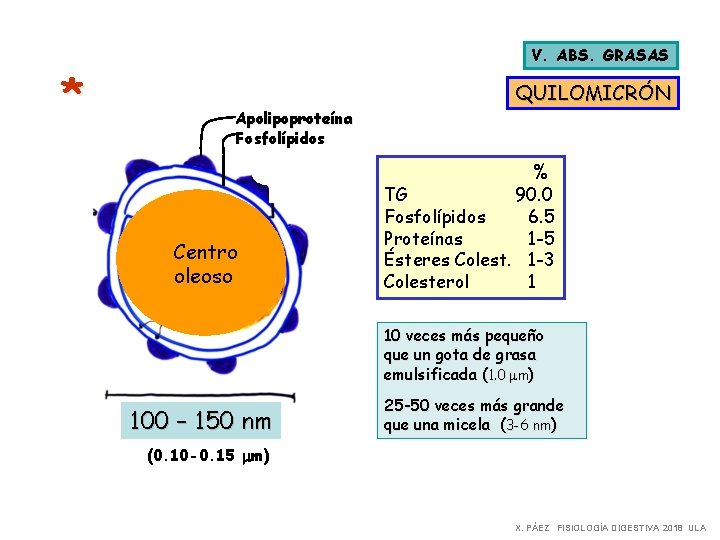 * V. ABS. GRASAS QUILOMICRÓN Apolipoproteína Fosfolípidos % Centro oleoso TG 90. 0 Fosfolípidos