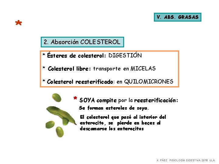 V. ABS. GRASAS * 2. Absorción COLESTEROL * Ésteres de colesterol: DIGESTIÓN * Colesterol