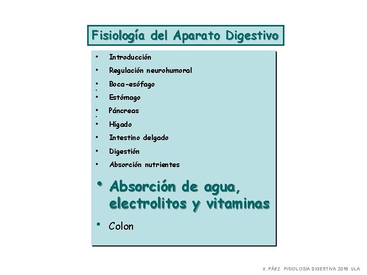 Fisiología del Aparato Digestivo • Introducción • Regulación neurohumoral • Boca-esófago • Estómago •