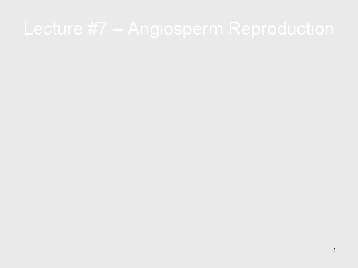 Lecture #7 – Angiosperm Reproduction 1 