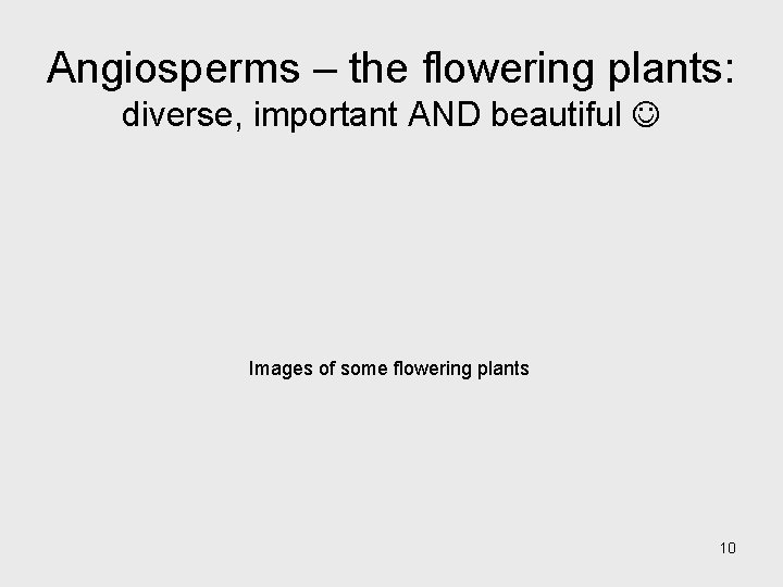 Angiosperms – the flowering plants: diverse, important AND beautiful Images of some flowering plants