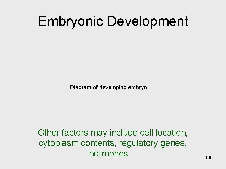Embryonic Development Diagram of developing embryo Other factors may include cell location, cytoplasm contents,