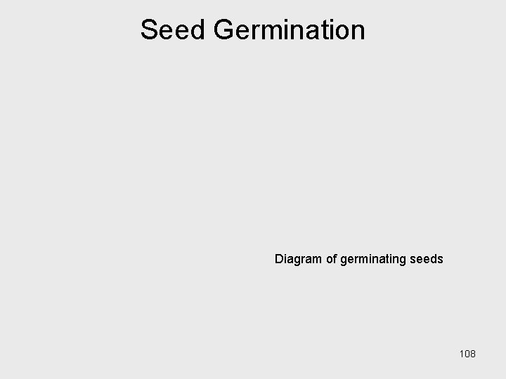 Seed Germination Diagram of germinating seeds 108 