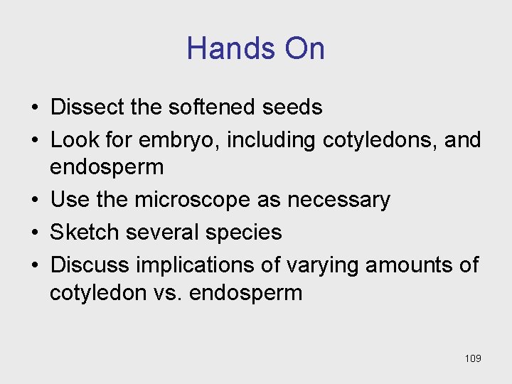 Hands On • Dissect the softened seeds • Look for embryo, including cotyledons, and