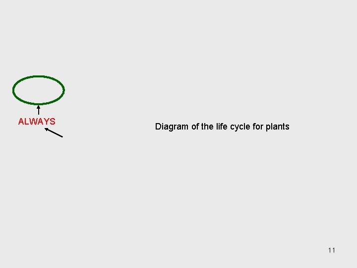 ALWAYS Diagram of the life cycle for plants 11 