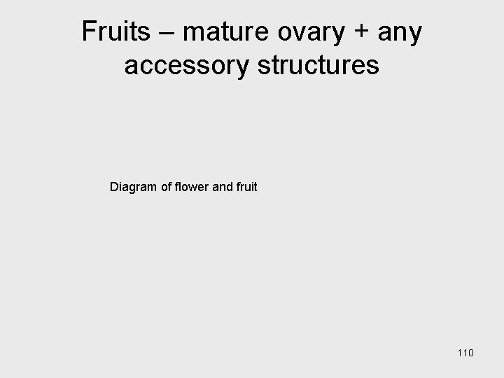 Fruits – mature ovary + any accessory structures Diagram of flower and fruit 110