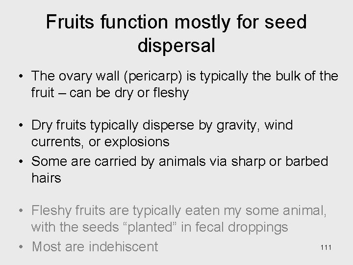 Fruits function mostly for seed dispersal • The ovary wall (pericarp) is typically the