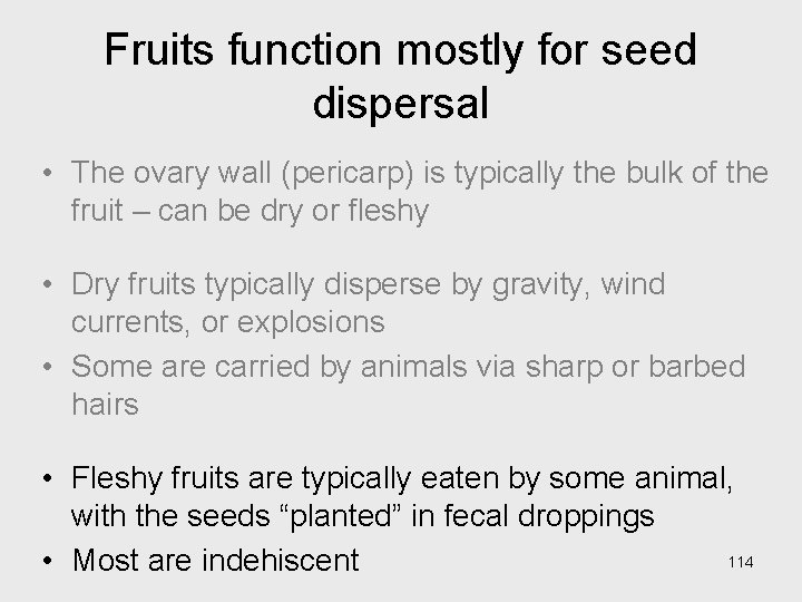 Fruits function mostly for seed dispersal • The ovary wall (pericarp) is typically the