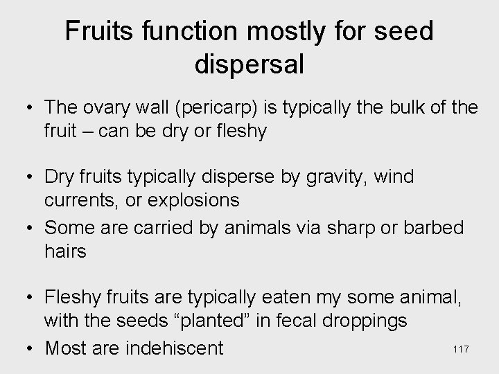 Fruits function mostly for seed dispersal • The ovary wall (pericarp) is typically the