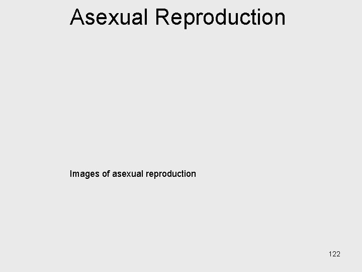 Asexual Reproduction Images of asexual reproduction 122 