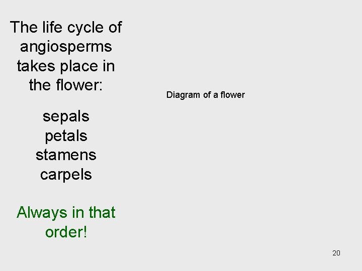 The life cycle of angiosperms takes place in the flower: Diagram of a flower