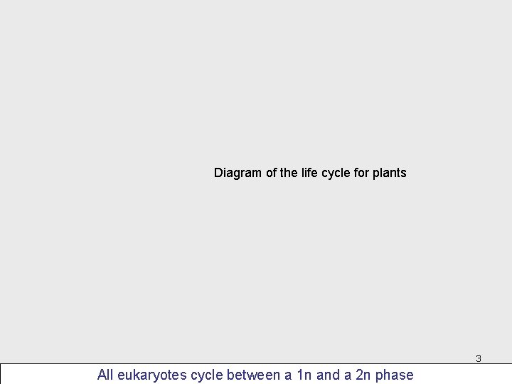 Diagram of the life cycle for plants 3 All eukaryotes cycle between a 1