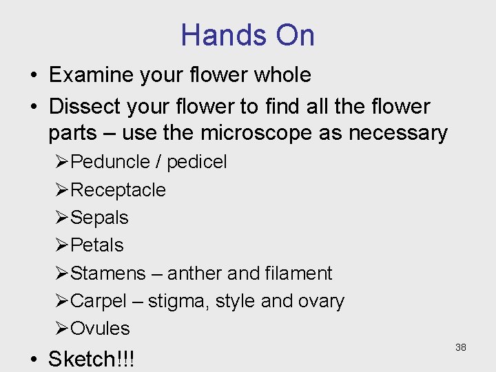 Hands On • Examine your flower whole • Dissect your flower to find all
