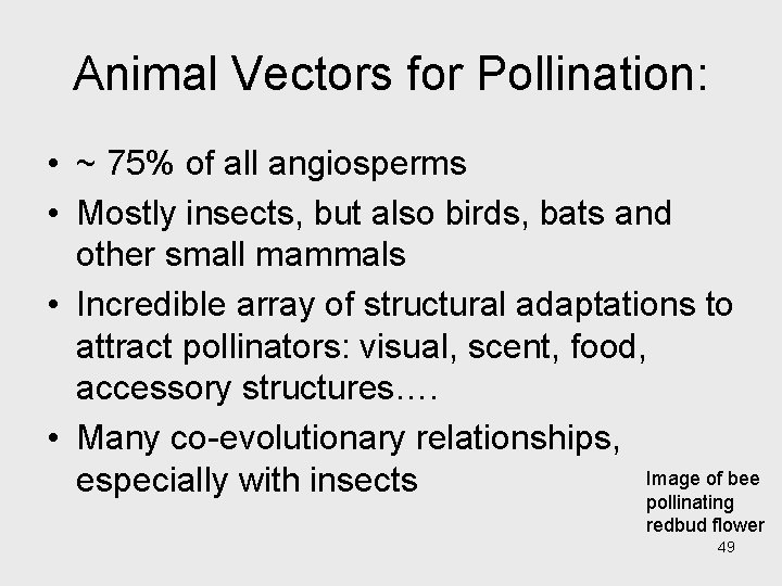 Animal Vectors for Pollination: • ~ 75% of all angiosperms • Mostly insects, but