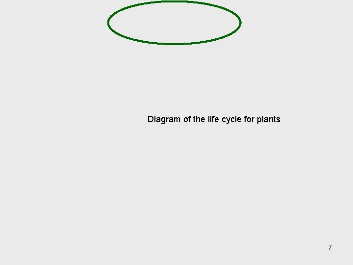 Diagram of the life cycle for plants 7 