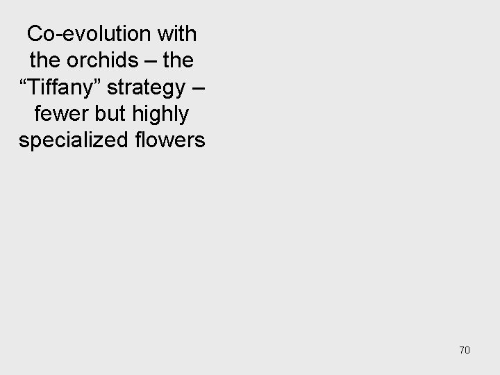 Co-evolution with the orchids – the “Tiffany” strategy – fewer but highly specialized flowers