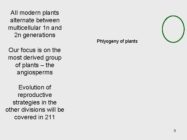 All modern plants alternate between multicellular 1 n and 2 n generations Phlyogeny of