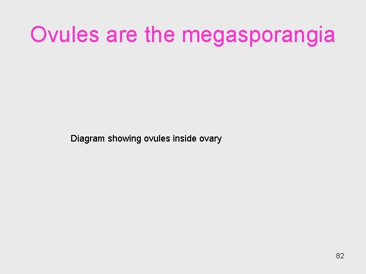 Ovules are the megasporangia Diagram showing ovules inside ovary 82 