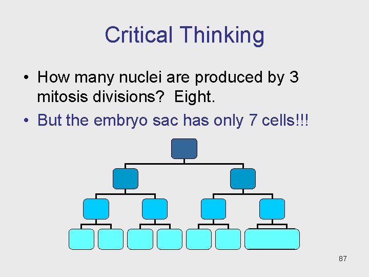 Critical Thinking • How many nuclei are produced by 3 mitosis divisions? Eight. •