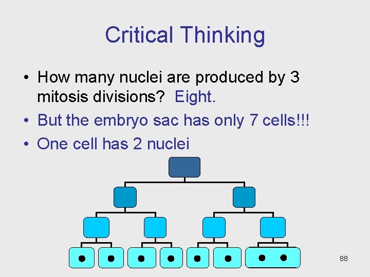 Critical Thinking • How many nuclei are produced by 3 mitosis divisions? Eight. •