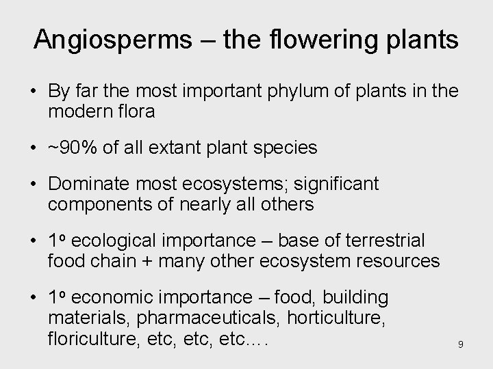 Angiosperms – the flowering plants • By far the most important phylum of plants