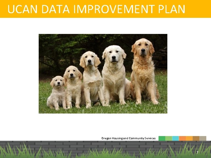 UCAN DATA IMPROVEMENT PLAN Oregon Housing and Community Services 7 