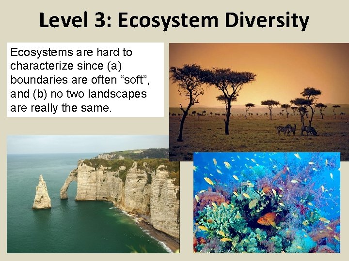 Level 3: Ecosystem Diversity Ecosystems are hard to characterize since (a) boundaries are often