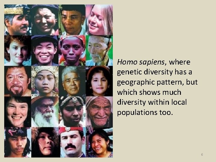 Homo sapiens, where genetic diversity has a geographic pattern, but which shows much diversity