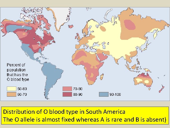 Distribution of O blood type in South America The O allele is almost fixed