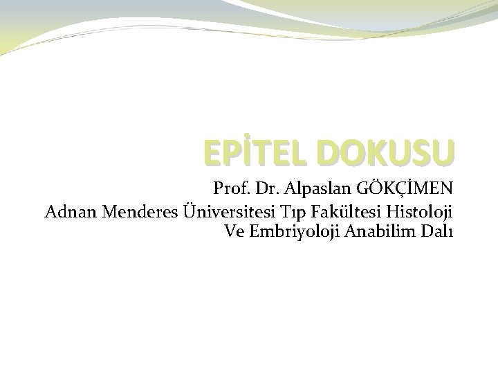 EPİTEL DOKUSU Prof. Dr. Alpaslan GÖKÇİMEN Adnan Menderes Üniversitesi Tıp Fakültesi Histoloji Ve Embriyoloji