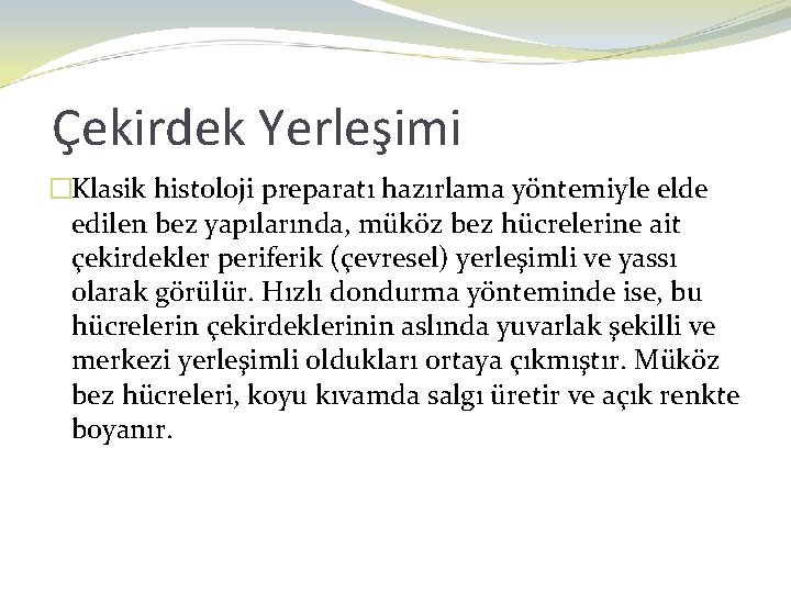 Çekirdek Yerleşimi �Klasik histoloji preparatı hazırlama yöntemiyle elde edilen bez yapılarında, müköz bez hücrelerine