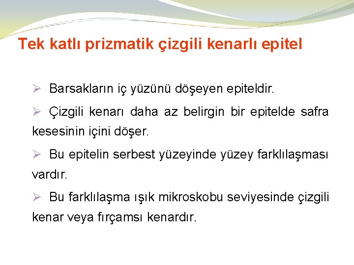 Tek katlı prizmatik çizgili kenarlı epitel Ø Barsakların iç yüzünü döşeyen epiteldir. Ø Çizgili