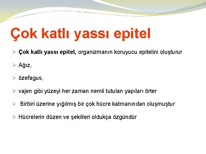 Çok katlı yassı epitel Ø Çok katlı yassı epitel, organizmanın koruyucu epitelini oluşturur Ø