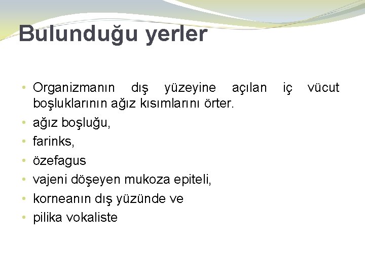 Bulunduğu yerler • Organizmanın dış yüzeyine açılan boşluklarının ağız kısımlarını örter. • ağız boşluğu,