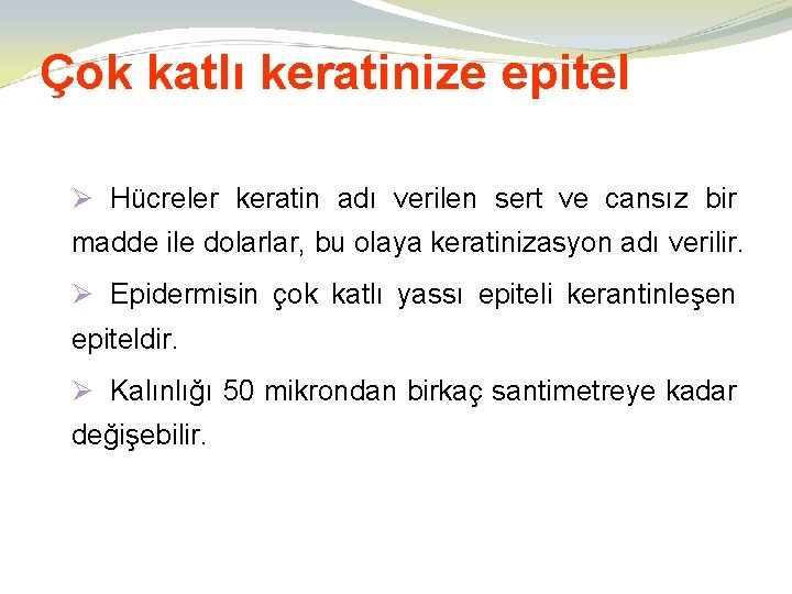 Çok katlı keratinize epitel Ø Hücreler keratin adı verilen sert ve cansız bir madde