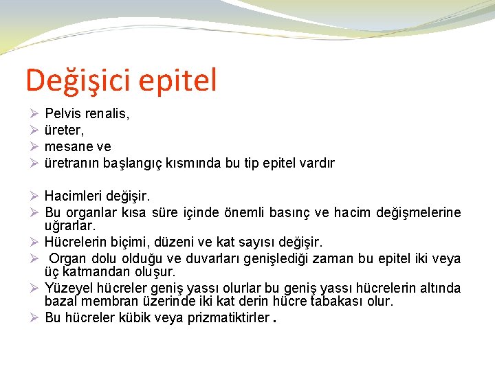 Değişici epitel Ø Ø Pelvis renalis, üreter, mesane ve üretranın başlangıç kısmında bu tip