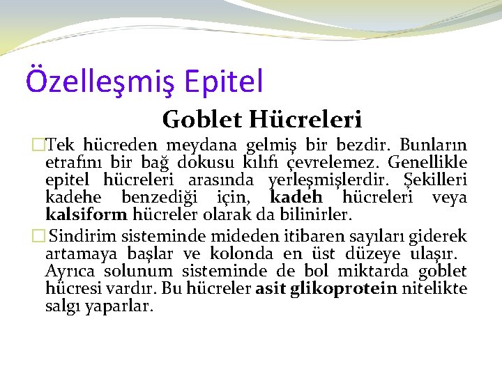 Özelleşmiş Epitel Goblet Hücreleri �Tek hücreden meydana gelmiş bir bezdir. Bunların etrafını bir bağ