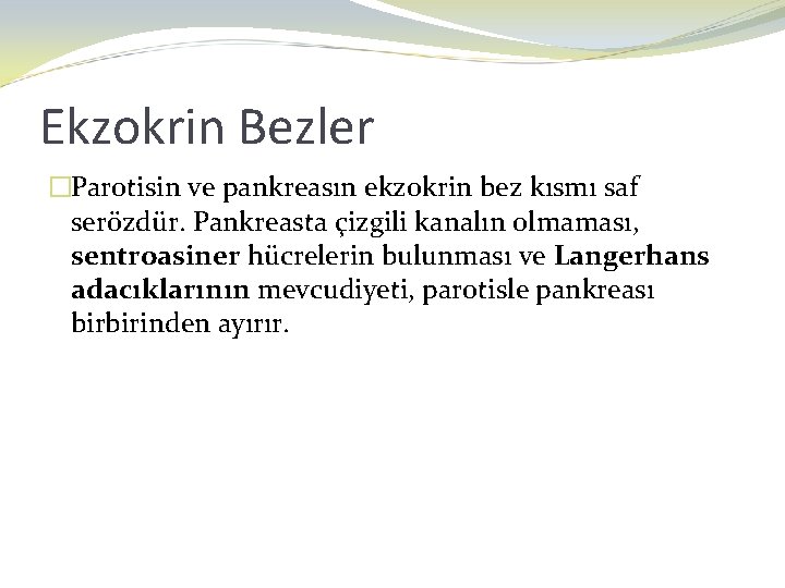 Ekzokrin Bezler �Parotisin ve pankreasın ekzokrin bez kısmı saf serözdür. Pankreasta çizgili kanalın olmaması,