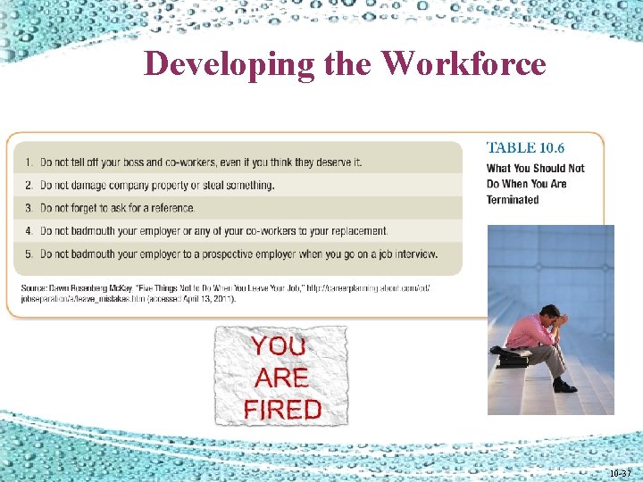 Developing the Workforce 10 -37 Developing the Workforce 10 -37