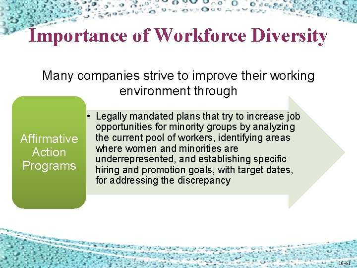 Importance of Workforce Diversity Many companies strive to improve their working environment through Affirmative Importance of Workforce Diversity Many companies strive to improve their working environment through Affirmative