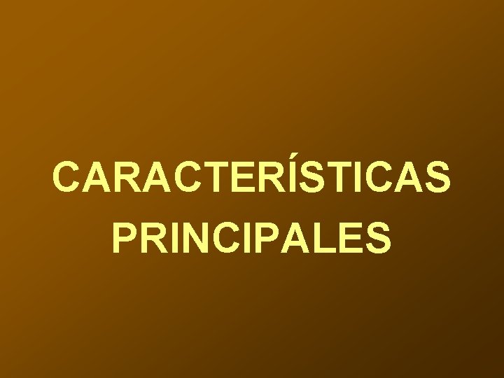 CARACTERÍSTICAS PRINCIPALES 