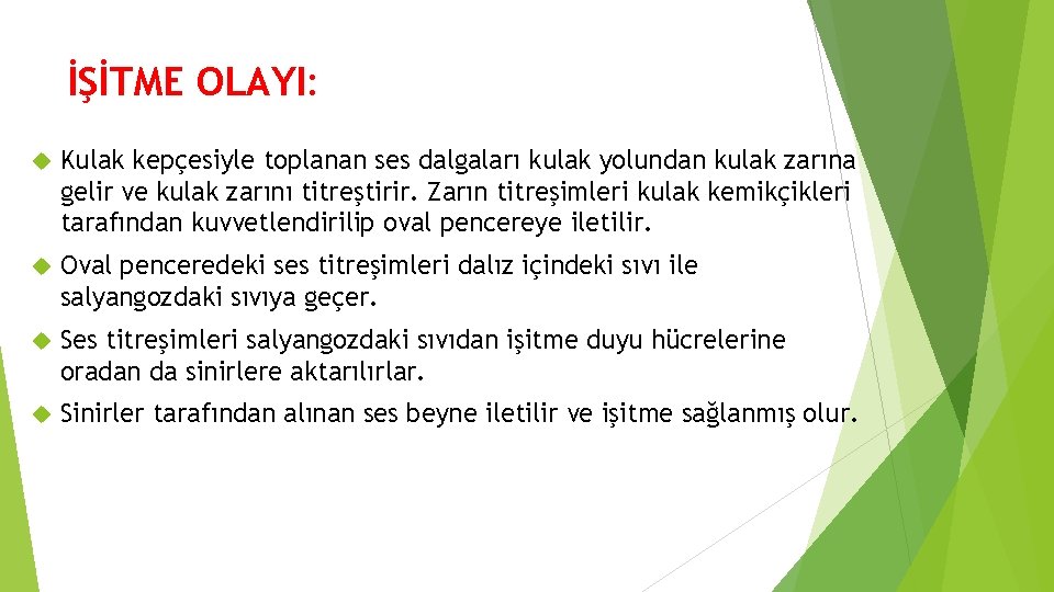 İŞİTME OLAYI: Kulak kepçesiyle toplanan ses dalgaları kulak yolundan kulak zarına gelir ve kulak